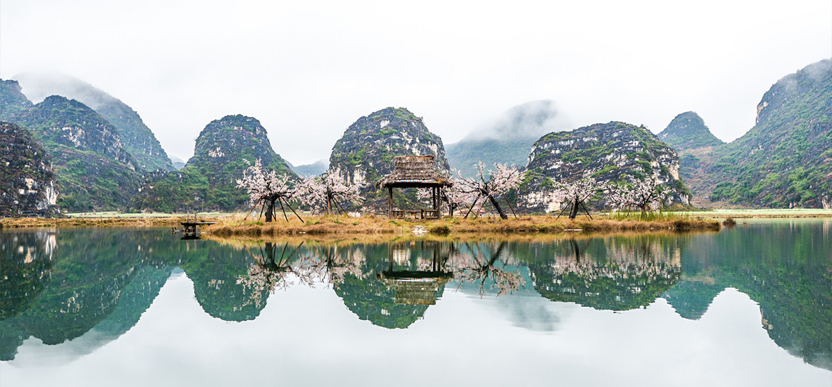 人工濕地,濕地建設