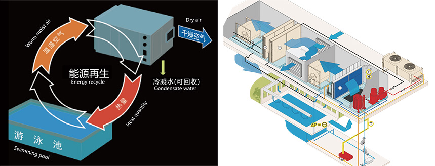 普派克泳池恒溫恒濕系統