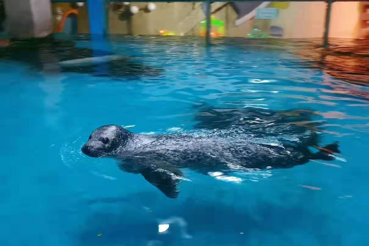 海洋館,游洋館水質處理,海洋館維生系統