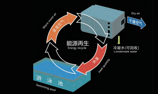 室內泳池恒溫除濕機,室內恒溫泳池,室內泳池除濕機